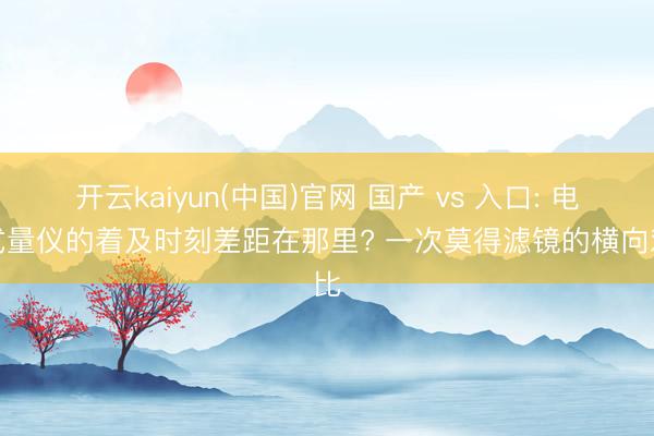 开云kaiyun(中国)官网 国产 vs 入口: 电感式量仪的着及时刻差距在那里? 一次莫得滤镜的横向对比