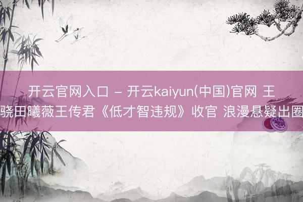 开云官网入口 - 开云kaiyun(中国)官网 王骁田曦薇王传君《低才智违规》收官 浪漫悬疑出圈