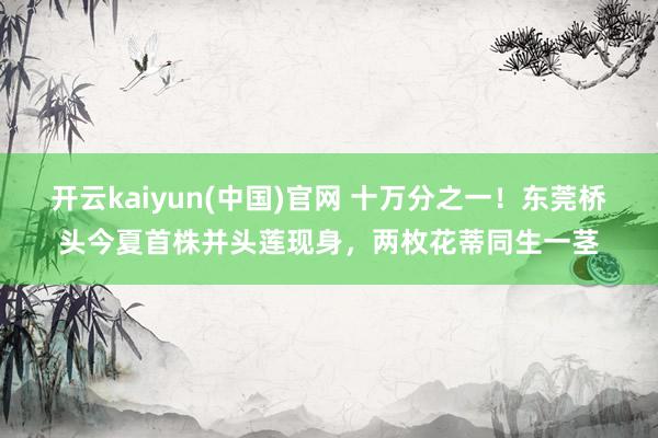开云kaiyun(中国)官网 十万分之一！东莞桥头今夏首株并头莲现身，两枚花蒂同生一茎